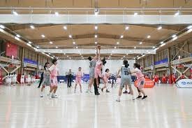 进会