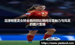回合在这里